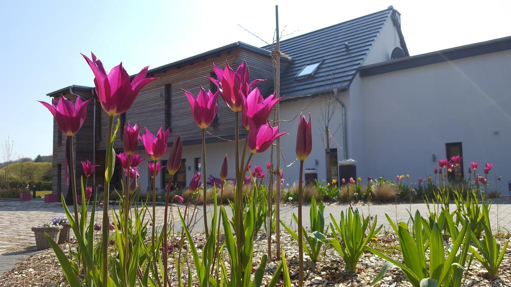 Kunst Pension Frahm Basthorst  Exterior foto